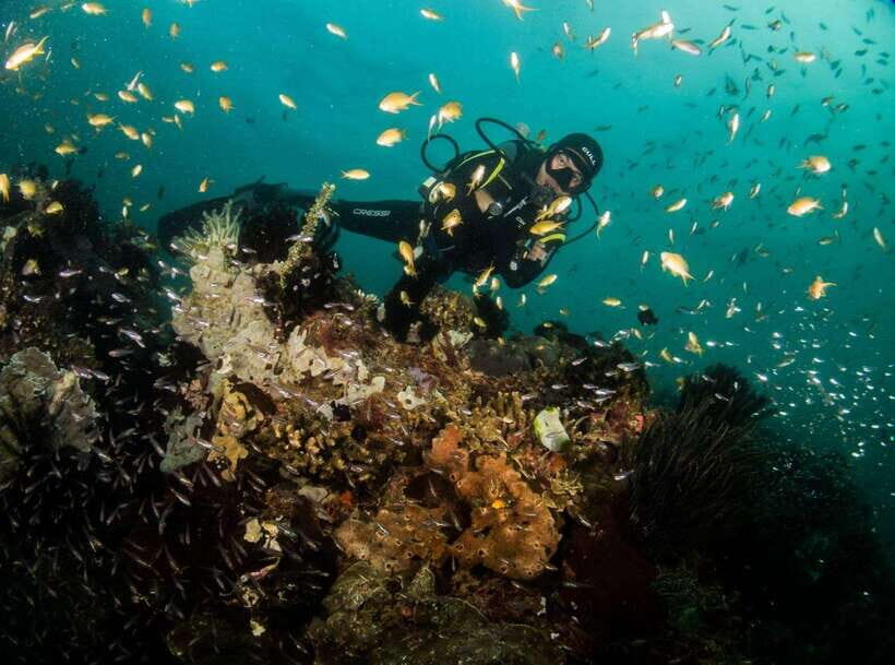 Scuba Diving in Boracay: SSI Basic Diver for Beginners - Should You Book This SSI Basic Diver Course?
