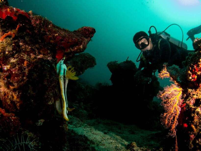 Scuba Diving in Boracay: SSI Basic Diver for Beginners - Gear Fitting and Your First Calm Moments Underwater
