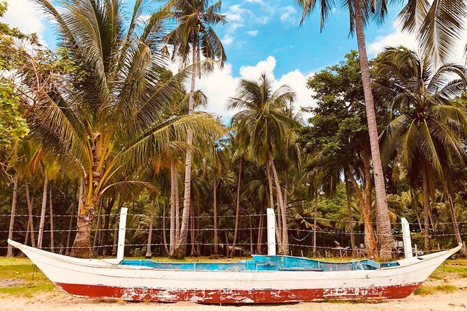 Shared Honda Bay Island Hopping Tour - Lu-Li Island: Hammocks, Swim Time, and a Mini-Bar Pause