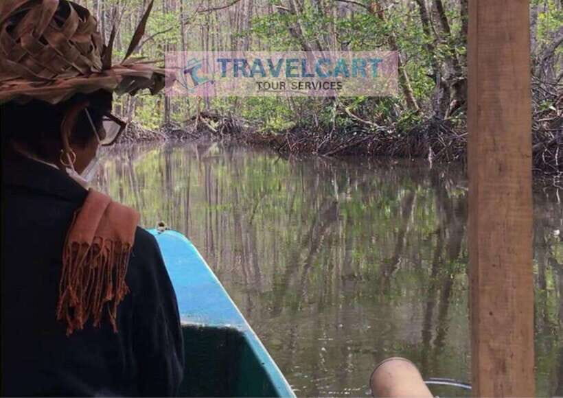 Shared Underground River with Mangrove Paddle Boat & LUNCH - UNESCO Underground River: What the Cave Trip Is Really Like