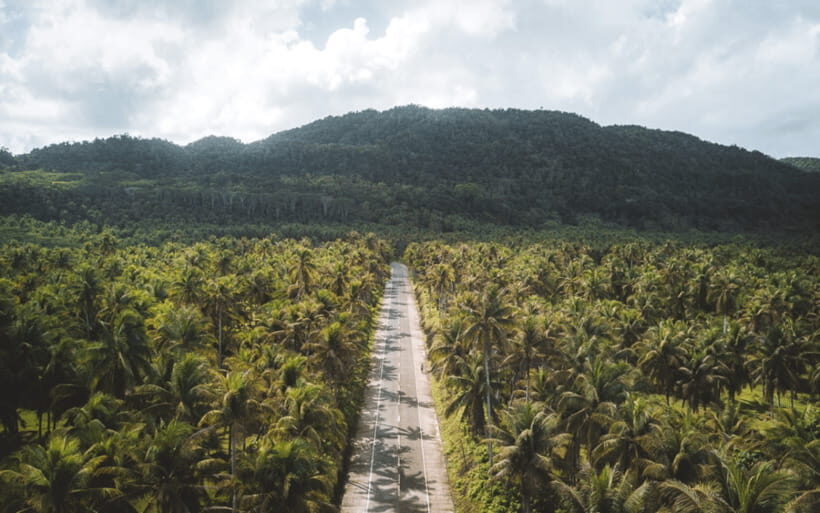 Siargao Tour G (Private Tour) - Island hopping morning: Guyam, Daku, and Naked Islands