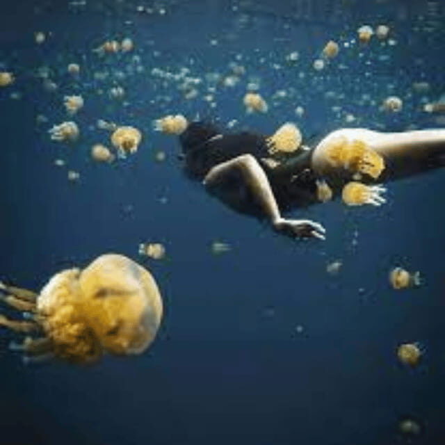 Siargao:Sohoton Island Hopping Tour with Jellyfish Sanctuary - Marka-A Island: quieter beach time and snorkel chances