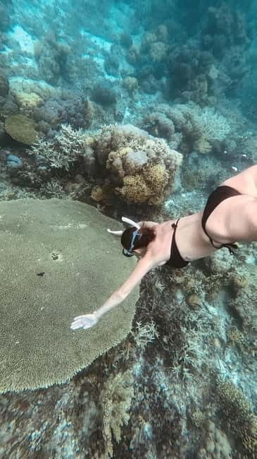 Siquijor: Jeepney Island Tour with Snorkeling - Balite century-old tree fish spa: strange (in a good way)