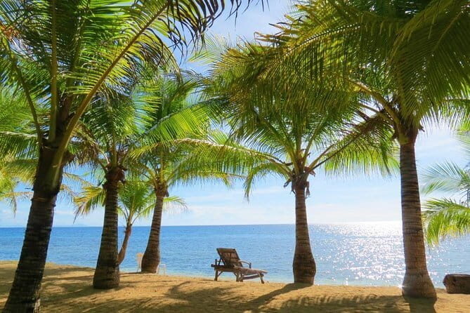 Siquijor Land Tour - Old Enchanted Balete Tree: Fish Spa at the Roots