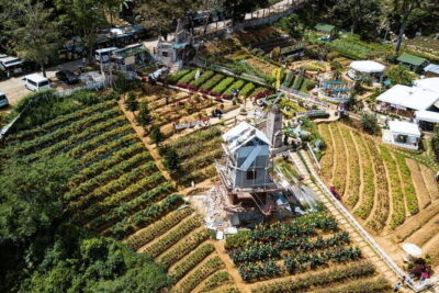 Small Group Cebu City And Uphill Mountain Tour - Pickup from Cebu City Center and the “8 hours” reality check
