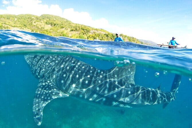 Small Group Moalboal and Badian’s Ultimate Adventure Tour - Who should book this Cebu adventure day?