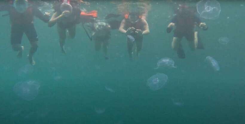 Sohoton Cove: Swim with Jellyfish & Explore Hidden Lagoons - Getting There From Surigao del Norte: A Real 8-Hour Travel Day
