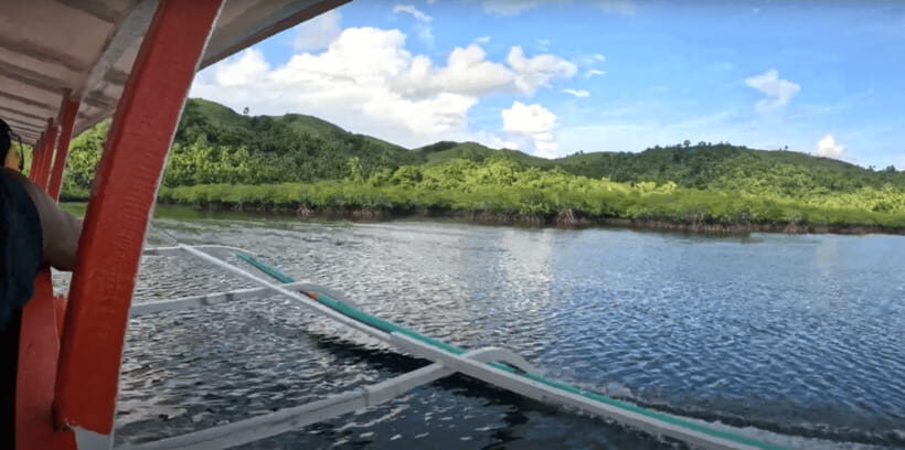 Sohoton Cove: Swim with Jellyfish & Explore Hidden Lagoons - Nature Notes You’ll Actually Care About: Fish, Birds, and Cave Light