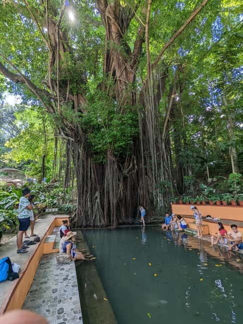 The Best of Siquijor Island Tour- Shared Tour - Key things I’d watch for