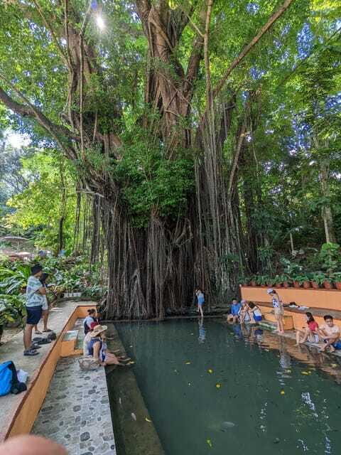 The Best of Siquijor Island Tour- Shared Tour - Cambugahay Falls: Swimming Time That Actually Happens