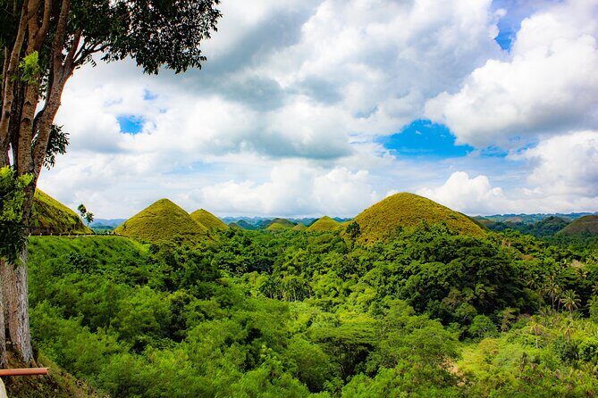 The tour of the must-see sites of Bohol - Bilar Man-Made Forest: A Mahogany Shade Break That Resets Your Brain