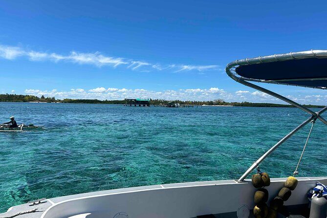 Twin Island Snorkeling Adventure at Hiltungan and Nalsuan - Weather and Departure Rules: The Two Things to Watch