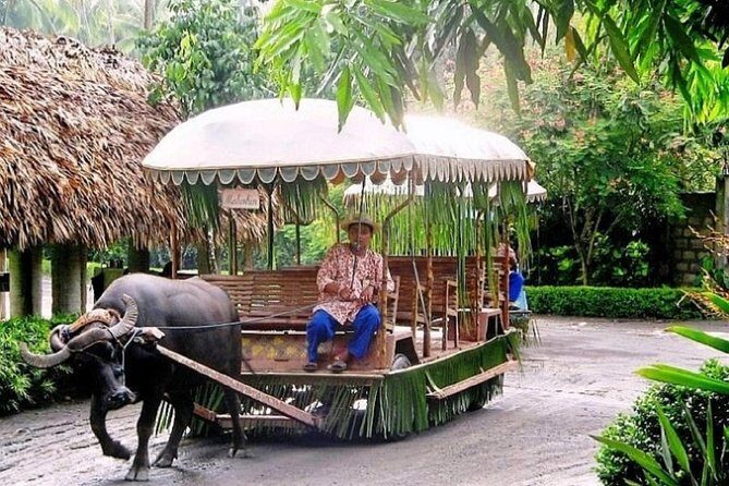 Villa Escudero Coconut Plantation Day Trip from Manila - The Plantation Grounds: Cart Rides, Carriage Displays, and Farm Energy