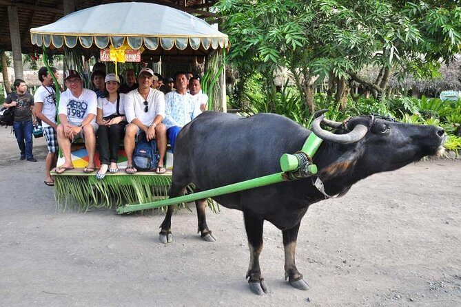 Villa Escudero Tour with Lunch From Manila (SHARED) - Villa Escudero turns a long drive into a real day out
