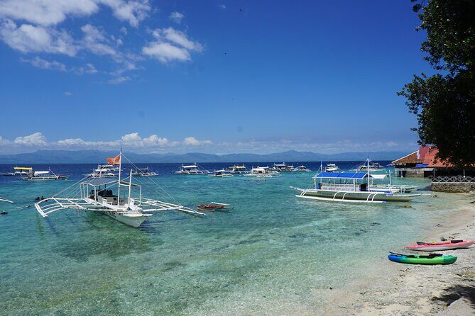 Whale Shark, Canyoneering, Sardines Run and Turtles with Transpo - A Packed Day Around Cebu’s Marine Life and Waterfalls