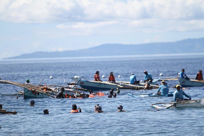 Whale Shark Swimming Experience and Aguinid Falls from Cebu - Ceb u at 4:00 am: how this day trip actually feels