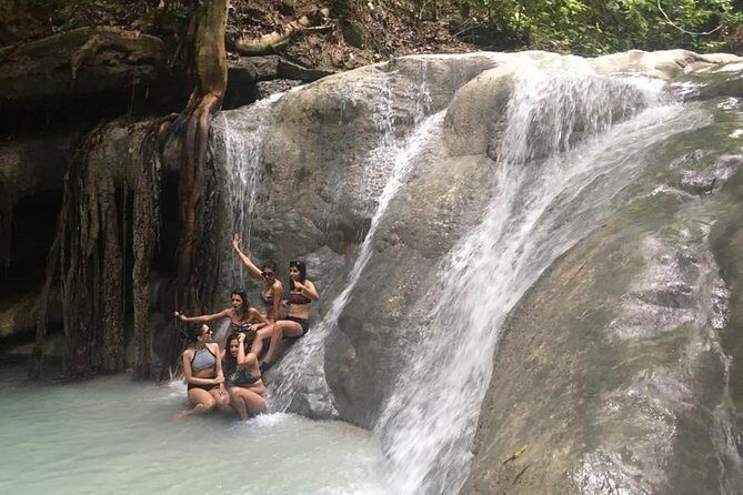 Whale Shark Swimming Experience and Aguinid Falls from Cebu - The snorkeling details that make or break the day