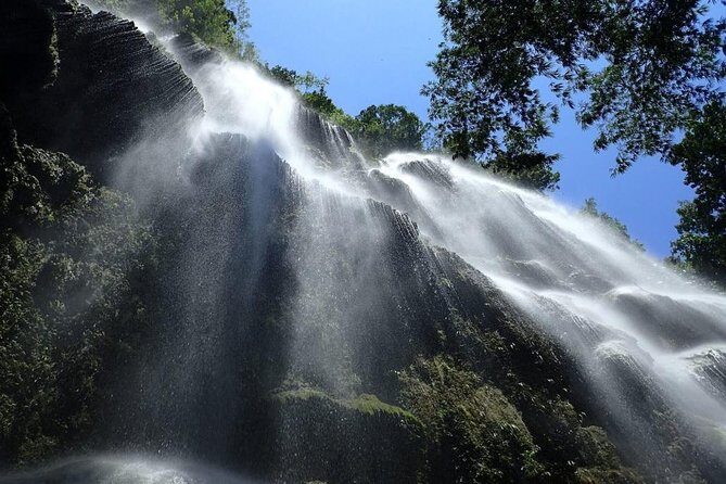Whale Shark & Tumalog Falls & Sumilon Sandbar & Pescador Island with Sardines - Why this Cebu 4-in-1 day tour works when time is tight