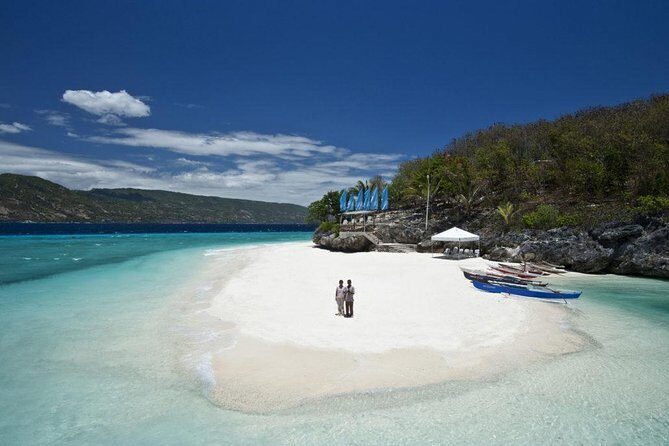 Whale Shark & Tumalog Falls & Sumilon Sandbar & Pescador Island with Sardines - Whale sharks in Oslob: the 30-minute swim and the crowd reality