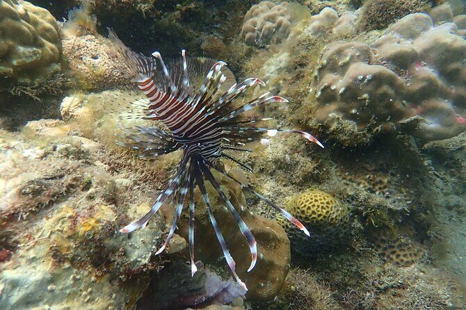 Wonderful Snorkeling Trip from Manila! updated 2023*** - Guide team and small group comfort: why max 15 matters